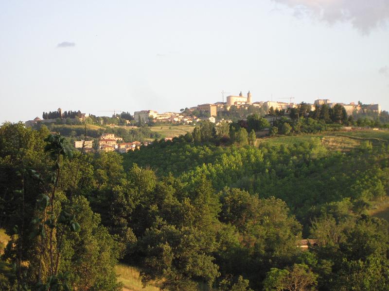 View from the garden - View from the garden